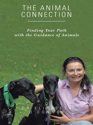 cover image of The Animal Connection